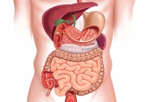 gastroenterology-1