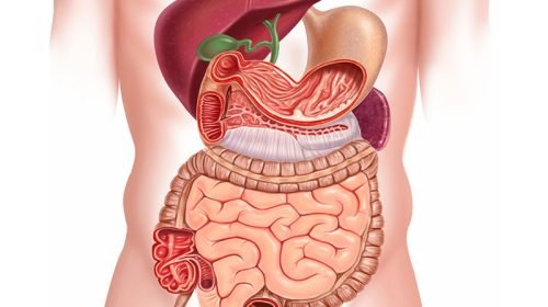 gastroenterology-1 (1)